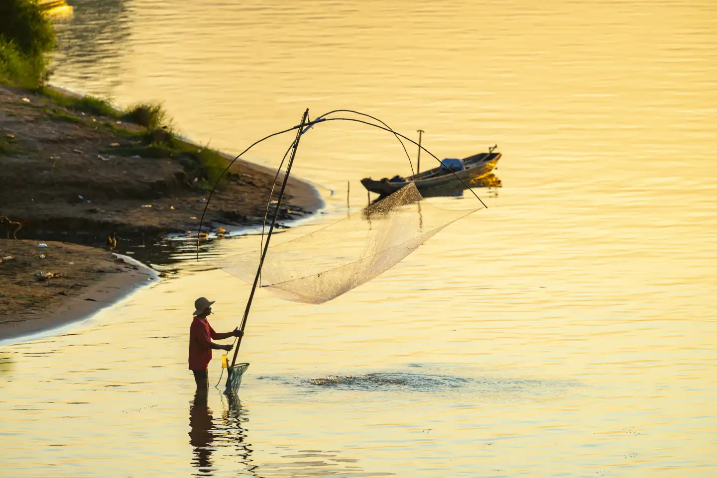 Fisherman with a sinking net at sunset on the Mekong, Luang Prabang, Laos, Asia