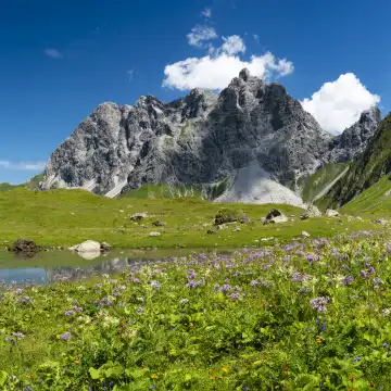 Eissee, Oytal, dahinter Grosser Wilder, 2379m, Hochvogel- und Rosszahngruppe, Allgäuer Alpen, Allgäu, Bayern, Deutschland, Europa