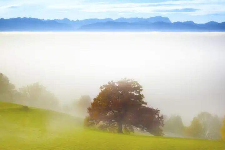 An image of a landscape covered in fog with the alps in the background