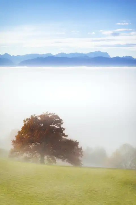 An image of a landscape covered in fog with the alps in the background