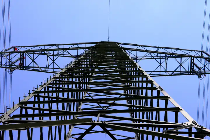 High voltage pylon from frog perspective