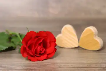 Rote Rose, ein Zeichen der Liebe