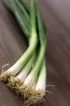 Spring leek or spring onion