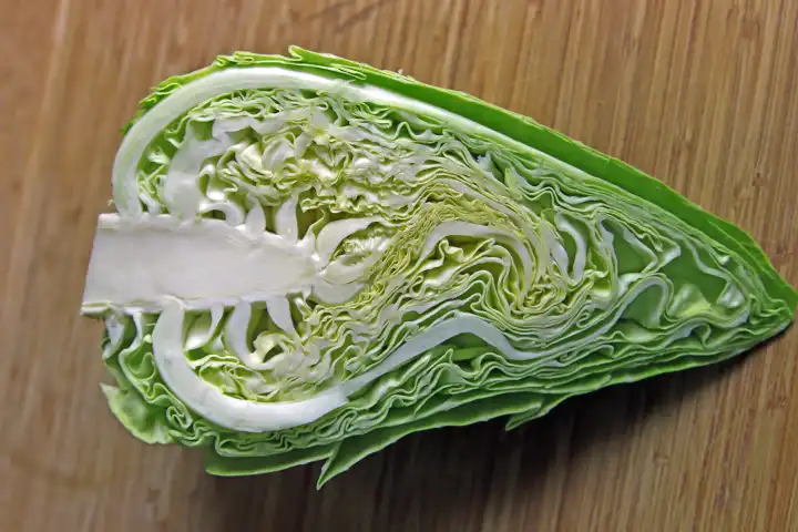 Pointed cabbage in cross section