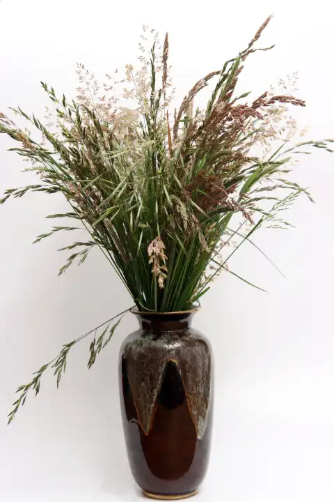 Verschiedene Wiesengräser in einer Blumenvase