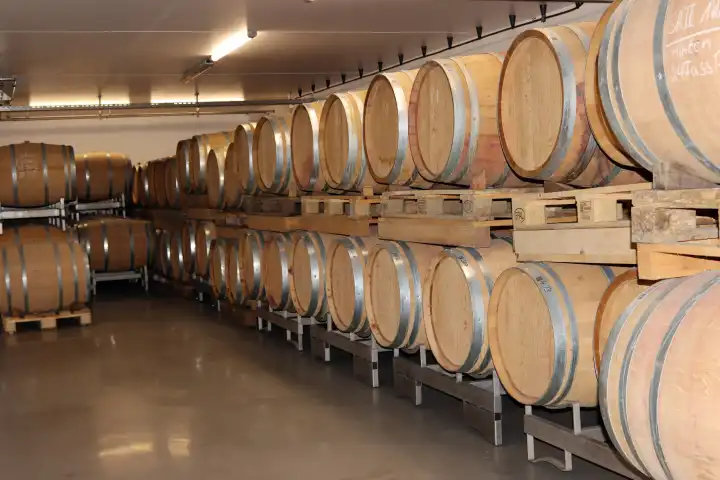 Weinfässer im Weinkeller