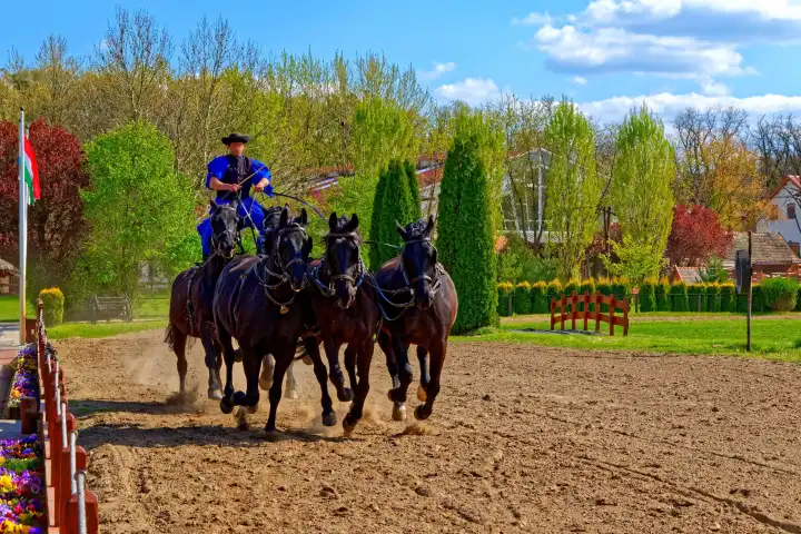 Horses Puszta five at a gallop in Hungary