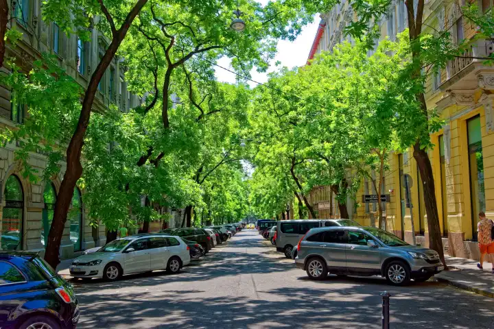 Avenue, parked cars
