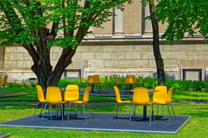 Yellow chairs in the park