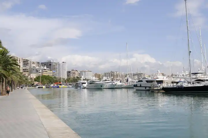 Bay of Palma with yachts on Majorca, Spain, Europe