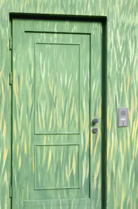 Mural painting on a house wall and door, motif grass