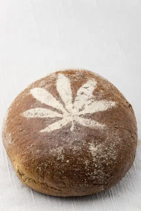 Whole hemp bread on white