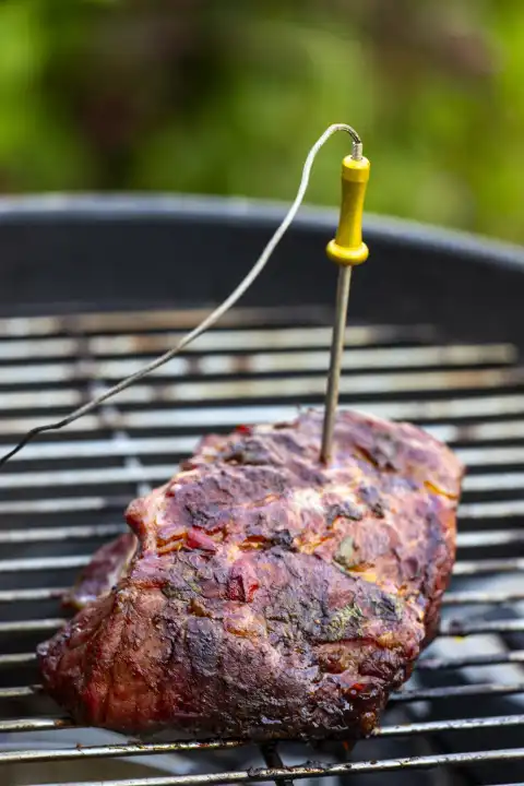 Measuring the heat in a steak