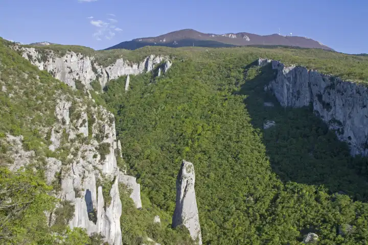 Die Vela Draga ist ein Naturschutzgebiet in Istrien und liegt an der Westseite des Naturpark UÄ ka