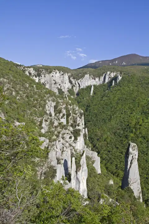 Die Vela Draga ist ein Naturschutzgebiet in Istrien und liegt an der Westseite des Naturpark UÄ ka