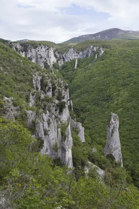 The Vela Draga is a nature reserve in Istria and is located on the west side of the Natural Park Ucka