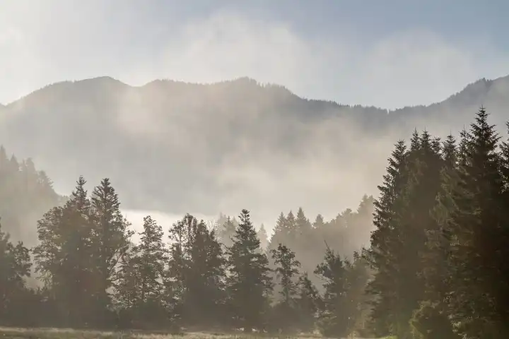 Nebelschwaden ziehen durch das Tal der Jachen unweit von Lenggries