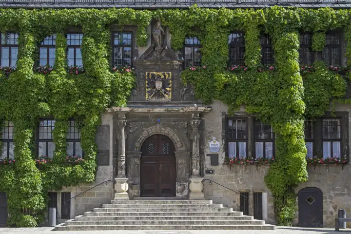 Die Fassade des gotischen Rathauses in Quedlinburg ist Ã ppig mit Efeu bewachsen