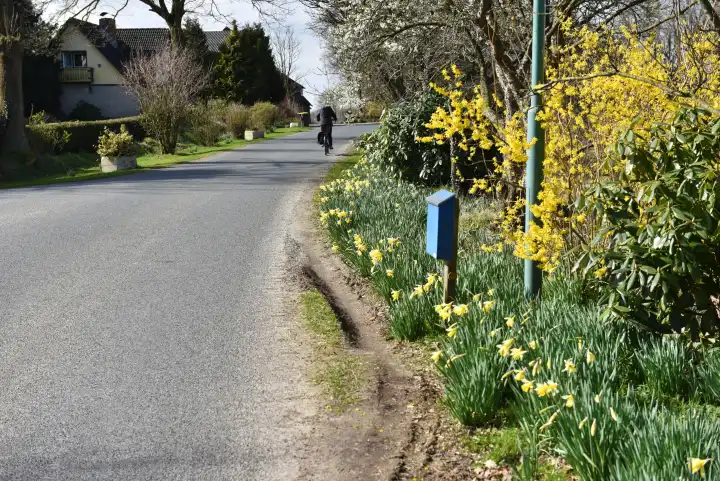 Country road in spring