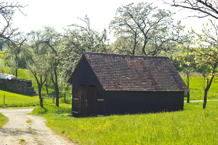 wooden hut in spring