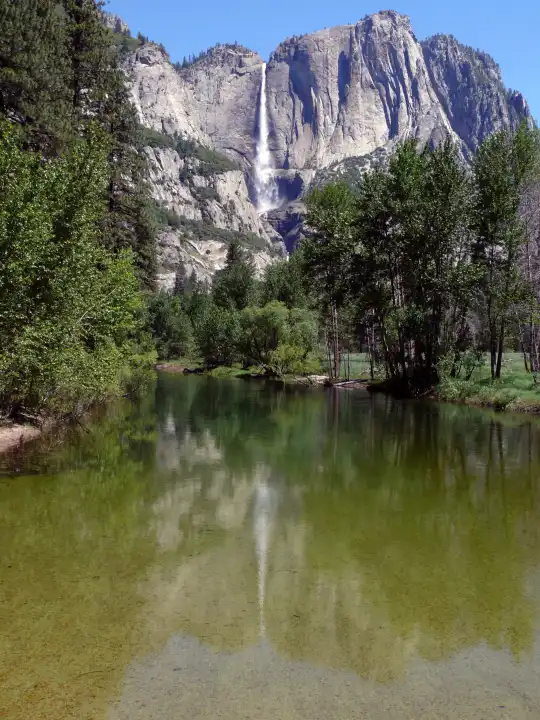 Yosemite Falls spiegelnd im Merced River