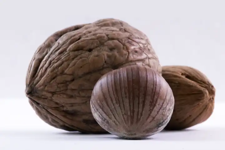 Three different nuts macro