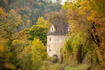 Tower in autumn