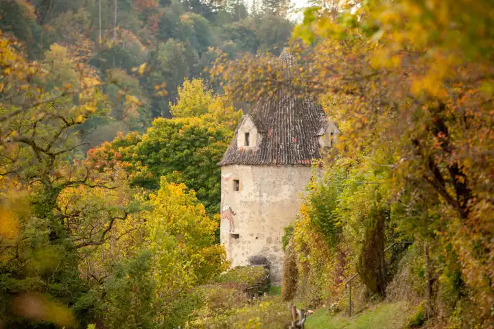 Tower in autumn