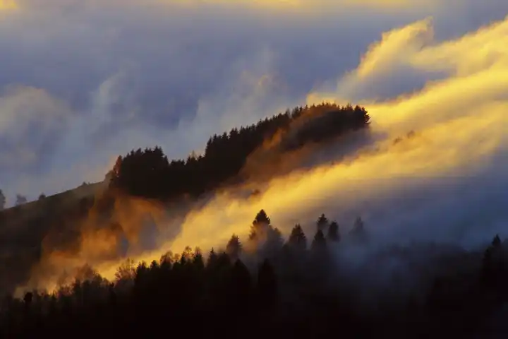 Nebelstimmung im Schwarzwald, Fog in Black Forest