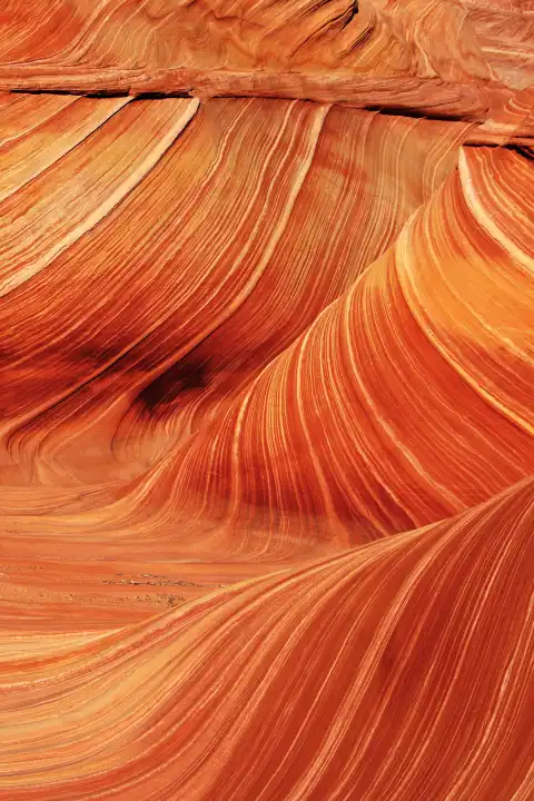 The Wave, die Welle im Vermilion Cliffs Wilderness Canyon