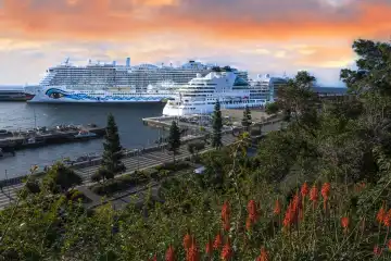 Kreuzfahrtschiff, Aida nova im Hafen bei Sonnenaufgang,  Funchal, Insel Madeira, Portugal