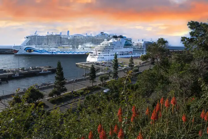 Kreuzfahrtschiff, Aida nova im Hafen bei Sonnenaufgang,  Funchal, Insel Madeira, Portugal