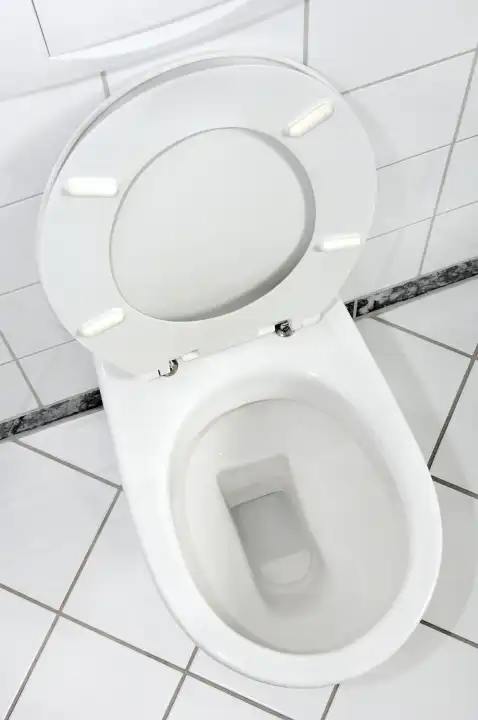 White toilet bowl