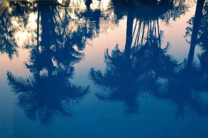Reflections in a pool
