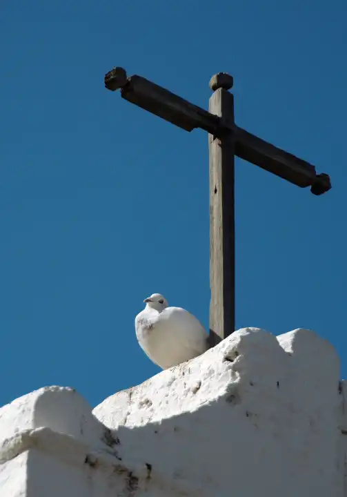Dove under a wooden cross