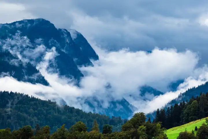 Landscape with mountains and trees in Berchtesgadener Land.