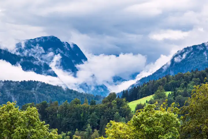 Landschaft mit Bergen und Bäumen im Berchtesgadener Land.