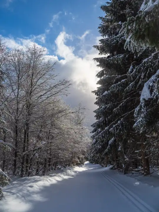 Landscape in winter in Thuringian Forest near Schmiedefeld am Rennsteig.