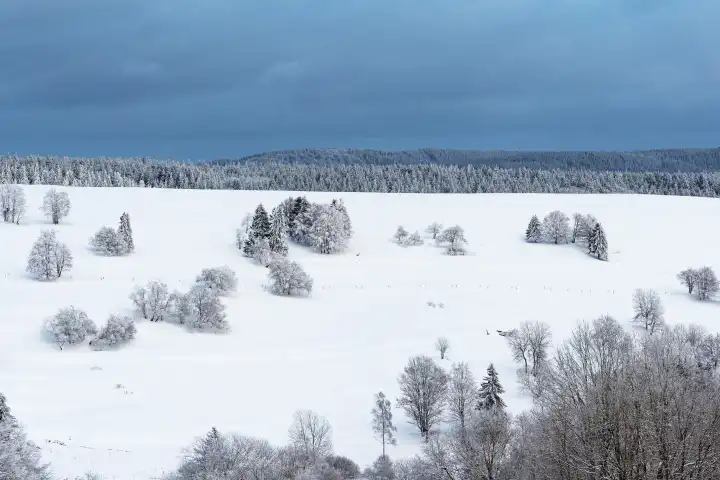 Landschaft im Winter im Thüringer Wald in der Nähe von Schmiedefeld am Rennsteig.