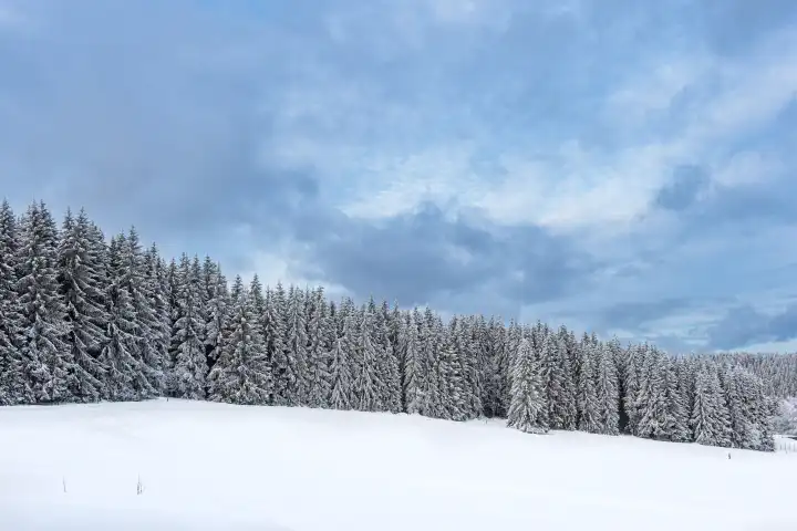Landschaft im Winter im Thüringer Wald in der Nähe von Schmiedefeld am Rennsteig.