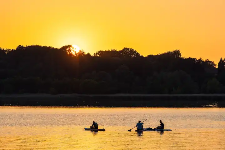 Surf paddlers on the Warnow in the sunset in the Hanseatic city Rostock.