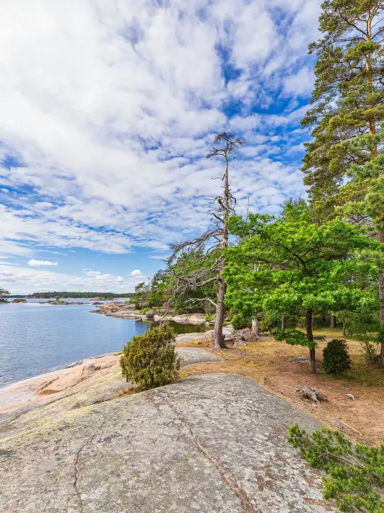 Ostseeküste mit Felsen und Bäumen bei Oskashamn in Schweden.