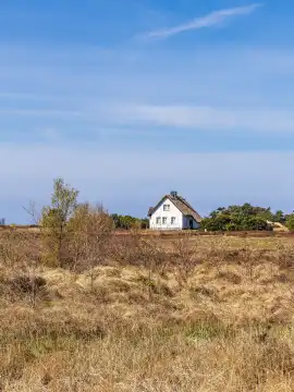 Vacation home between Vitte and Neuendorf on the island of Hiddensee.