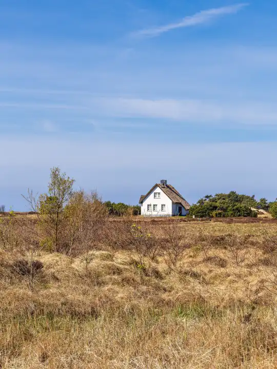 Vacation home between Vitte and Neuendorf on the island of Hiddensee.