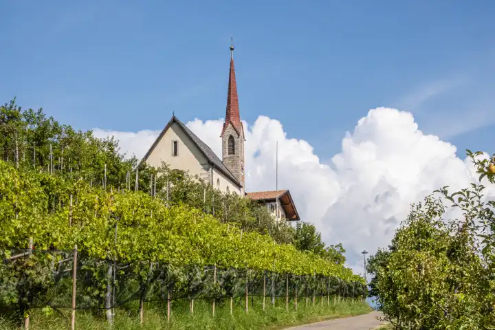 village church with vineyard and apple plantagen in south tyrol, italy