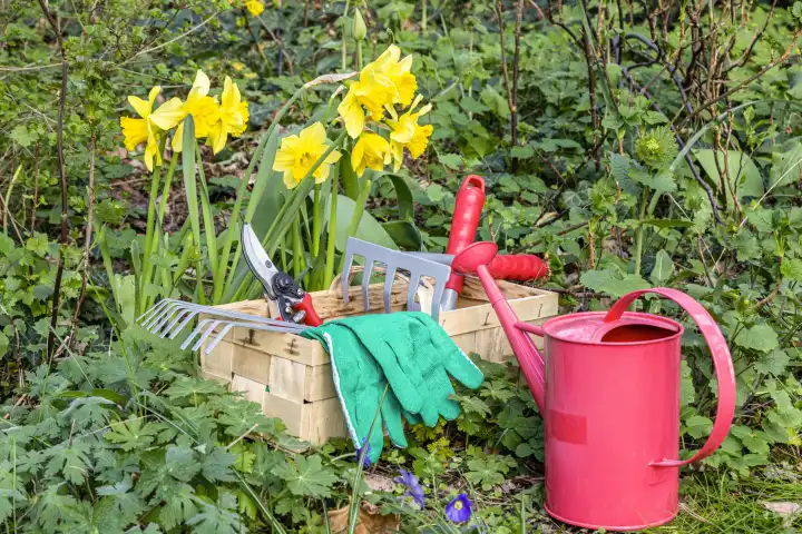 Gardening with rake, scissors, watering can and gloves in a garden in spring