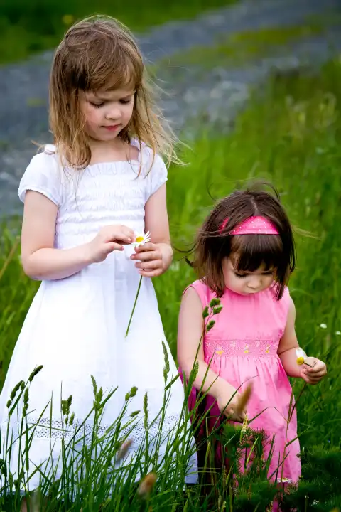 little girls walking and ranking the fields