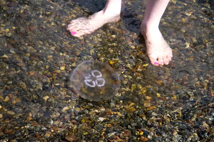 bare feet in front of jellyfish