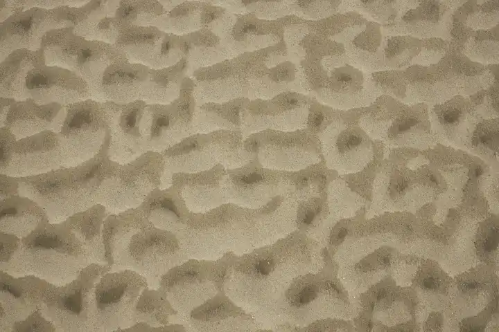 Structures and patterns in the sand at low tide