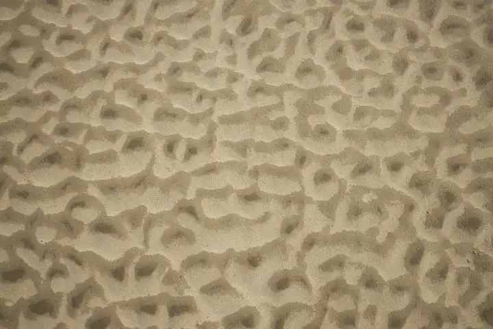 Structures and patterns in the sand at low tide